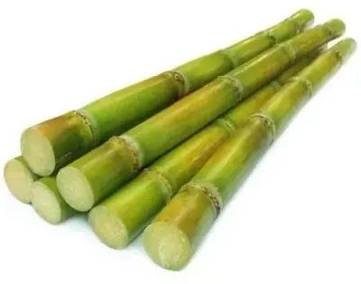 Sugarcane Powder by Ved International