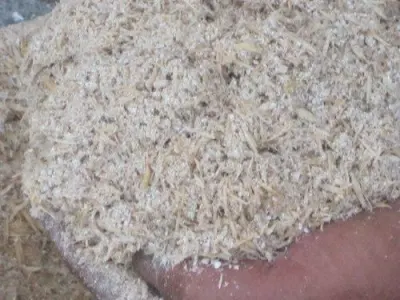 Crab Shell Meal by Dsw Co Ltd