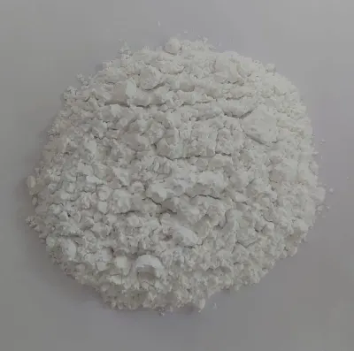 MoringaOleifera seeds powder by Pab & Jas Exports