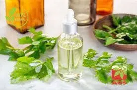 Rice Bran Oil by RVP Exports