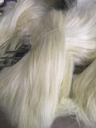 Raw Sisal Fiber Material by Premierbiz