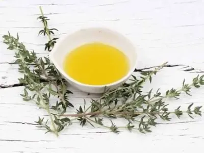 Sunflower Oil by MSB Ventures