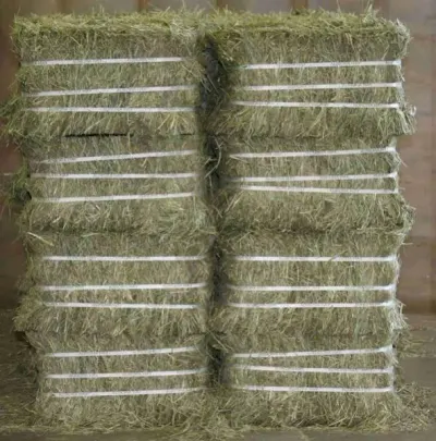 Canadian Timothy Hay Bales by Virilink Global Corp.
