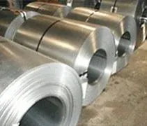 Disposable Leaf Plate by Sitaram Industries