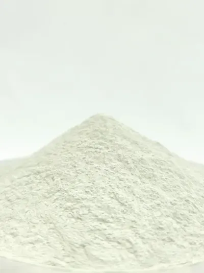 Dehydrated Potato Powder by Exotic Exim