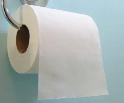 TP400X12 Toilet Paper Rolls by Soft Rose Tissue Paper Manufacture L.l.c