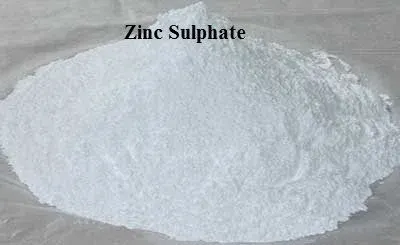 Zink sulphate (ZNSO4.H2o) mono hydrate by Shivam Industries