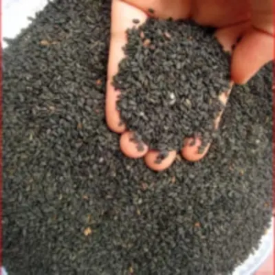 100% Ground Melon Seeds (Egusi) by Homefoods Proccessing and Cannery Ltd