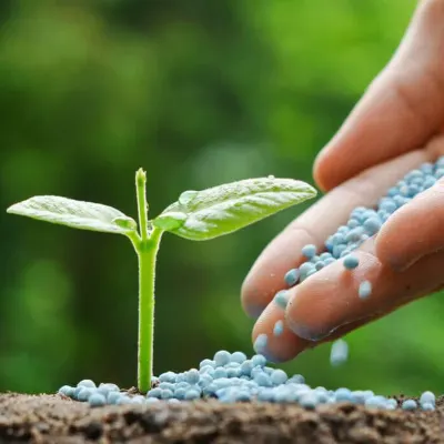 Mineral Fertilizers