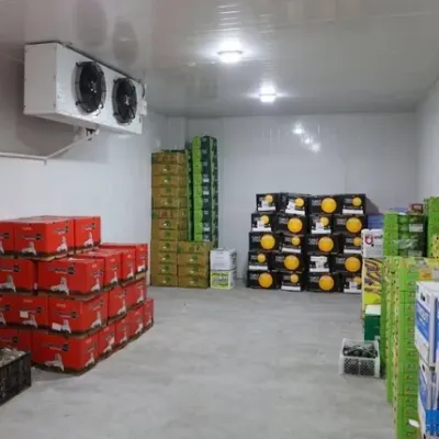 Unit cooler for cold room