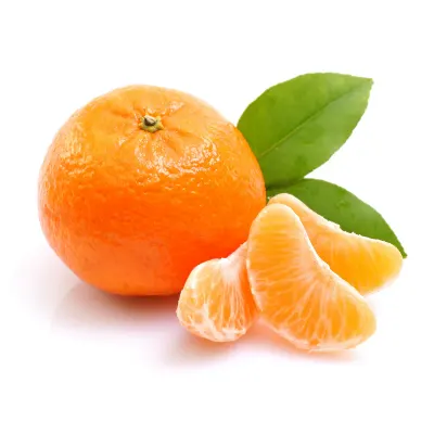 Sweet Fresh mandarin orange/Fresh Orange by All In Gmbh