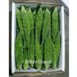 Fresh Bitter Gourd