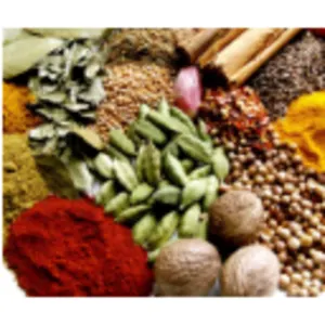 Indian Spices