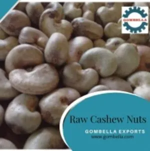 Raw Cashew Nuts