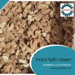 Ginger