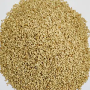 Sesame Seeds