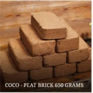 Coco - Peat Brick 650G
