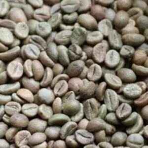 Green Coffee Beans Robusta