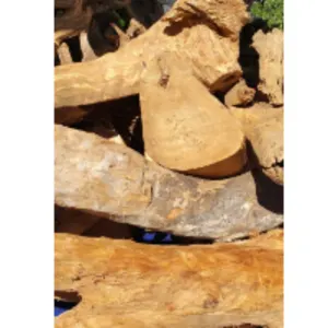 Sandalwood Logs