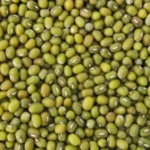 Mung Bean