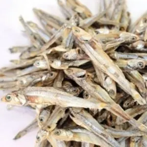 Frozen anchovies by Huvy Export Import Co., Ltd.