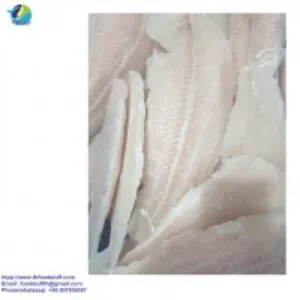 Tilapia Fillet