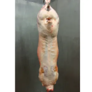 Halal English Lamb Carcass