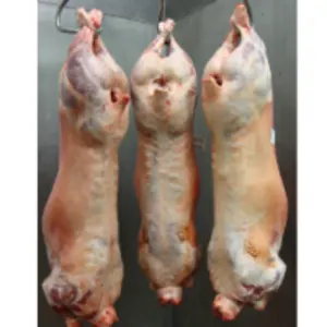 Halal English Lamb Carcass