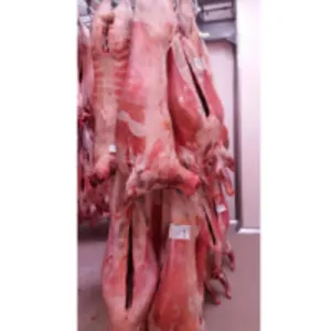 Halal Mutton Carcass