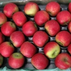 Cripps Red Apples