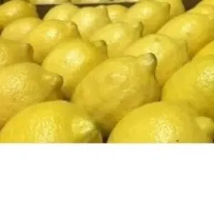 Lemons