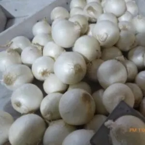 Fresh Onions