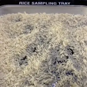 Pk 386 Long Grain Rice
