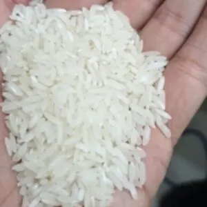 Irri-6 Rice