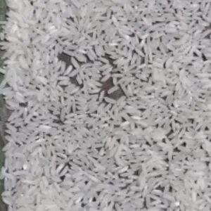 Irri-9 Rice