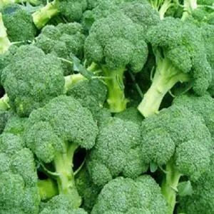 Broccoli