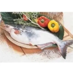 Pangasius Fillet - Swai - Well/untrimmed by Dong Phuong Vietnam Co.Ltd