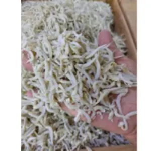 Dried Ancovies