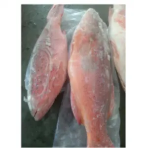 Frozen Fish