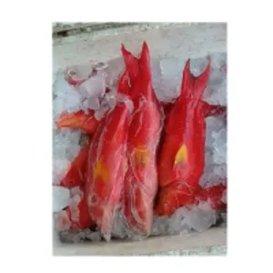 Frozen Fish