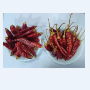 Dry Red Chilli (S10)