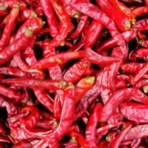 Dry Red Chilly