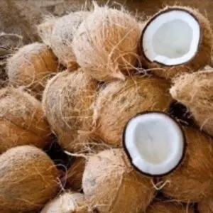 Semi Husked Coconut