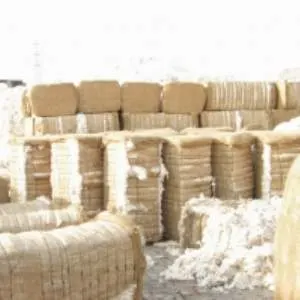 Cotton Comber Noil