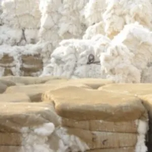 Cotton Comber Noil
