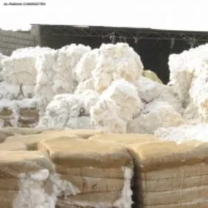 Cotton Comber Noil