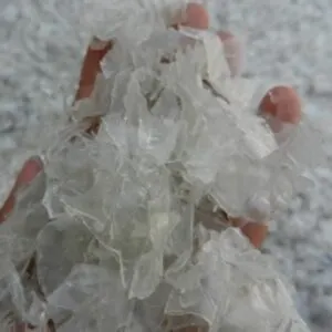 Pet Flakes