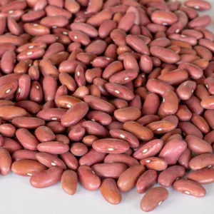 White, Black, Red, Light Speckled Kidney Beans for sale by D and I Evolution llc
