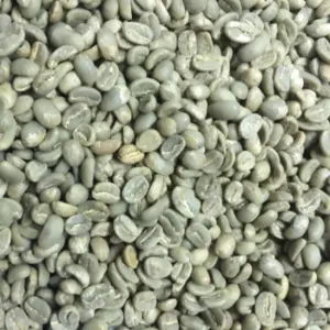 Coffee Beans by PT. Serdang Mas Indo