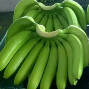Fresh Banana by WorldWide Eximp